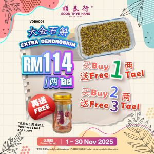 大金石斛 Extra Dendrobium