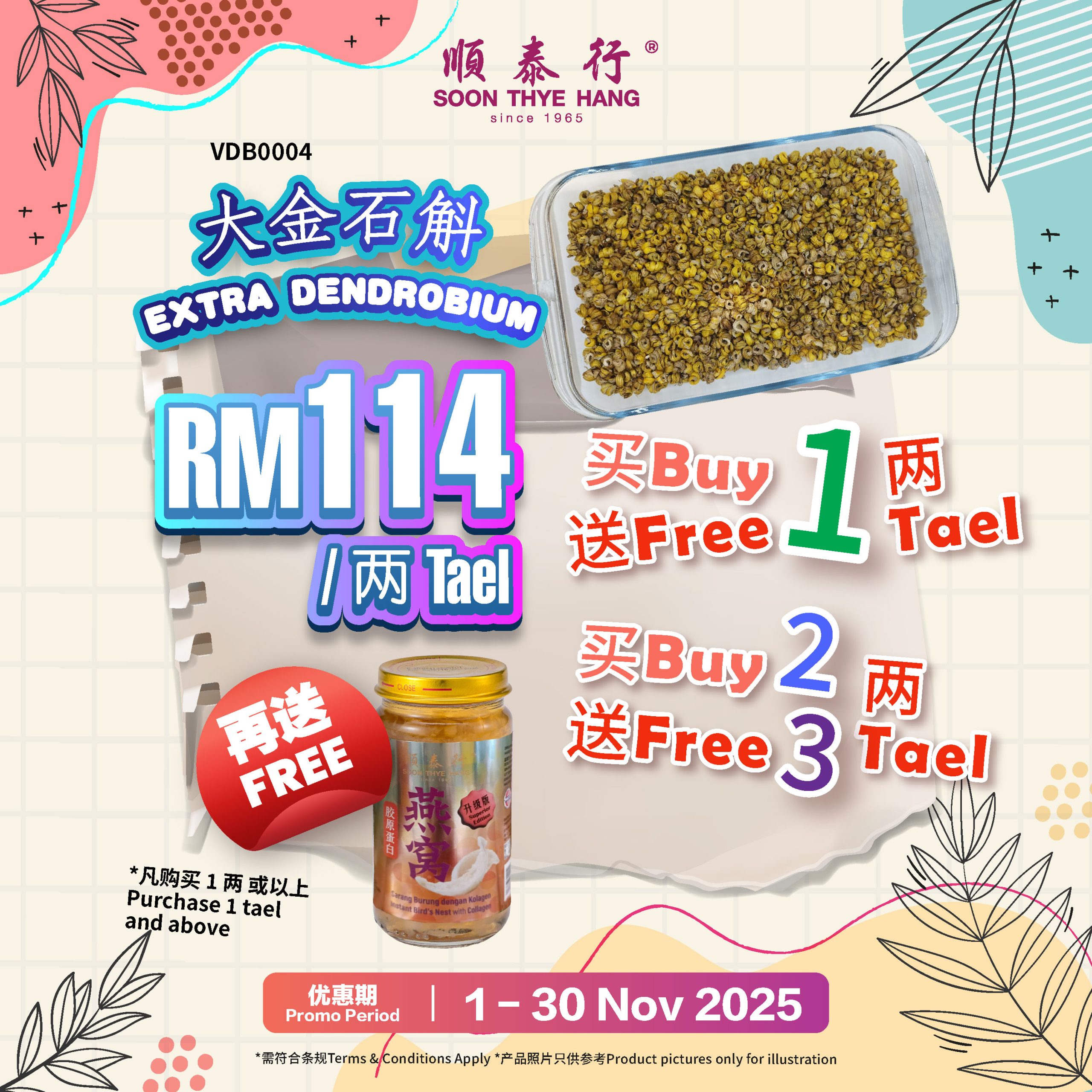 大金石斛 Extra Dendrobium