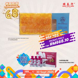 10片金丝野生品洞燕片 10PCS Golden Pinn Wild Cave Bird's Nest