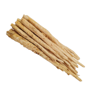 沙参 (长) Radix  Adenophorae  (LONG)