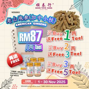 老山泡参(加中小枝) A.Ginseng