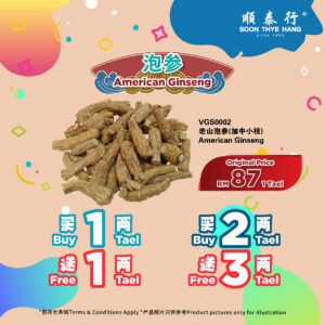 老山泡参(加中小枝)
