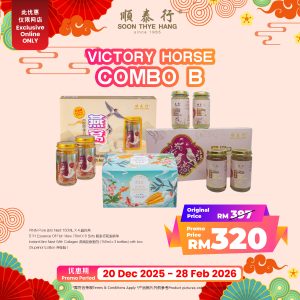 Victory Horse Combo B